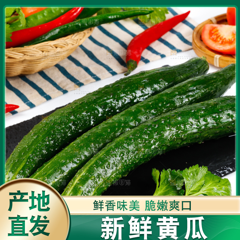 白底上放着黄瓜