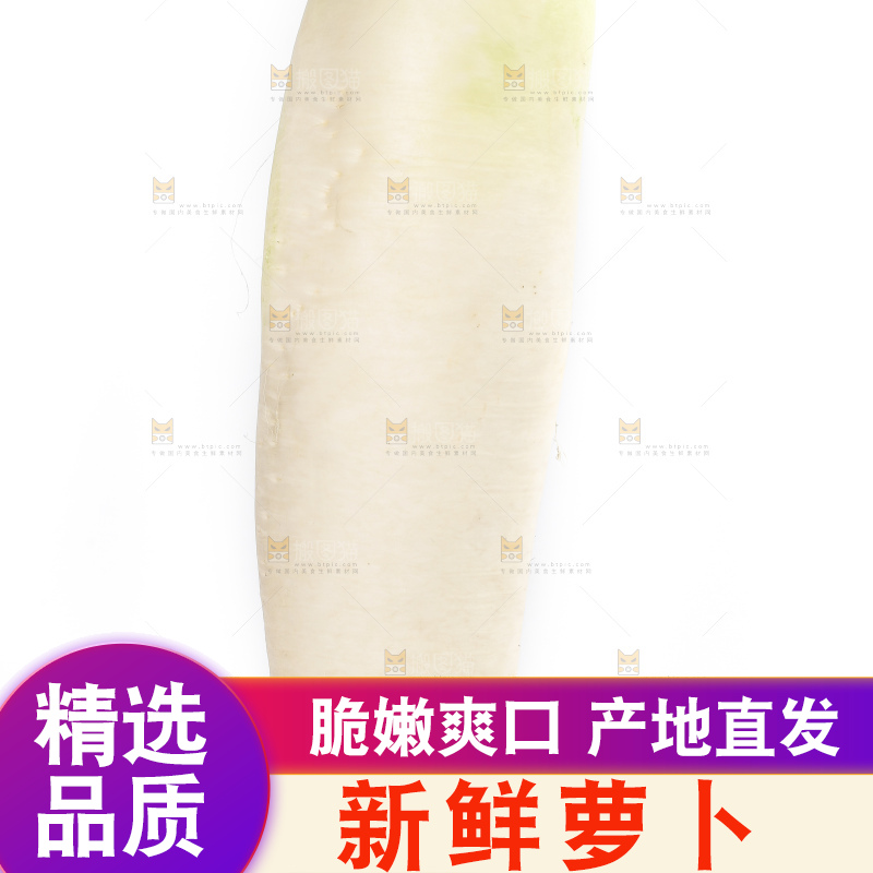 手里拿着萝卜