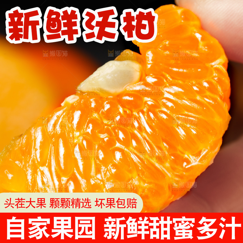手里拿着新鲜沃柑