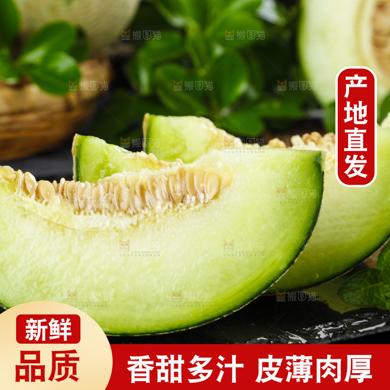 深底上放着切开的山东网纹蜜瓜