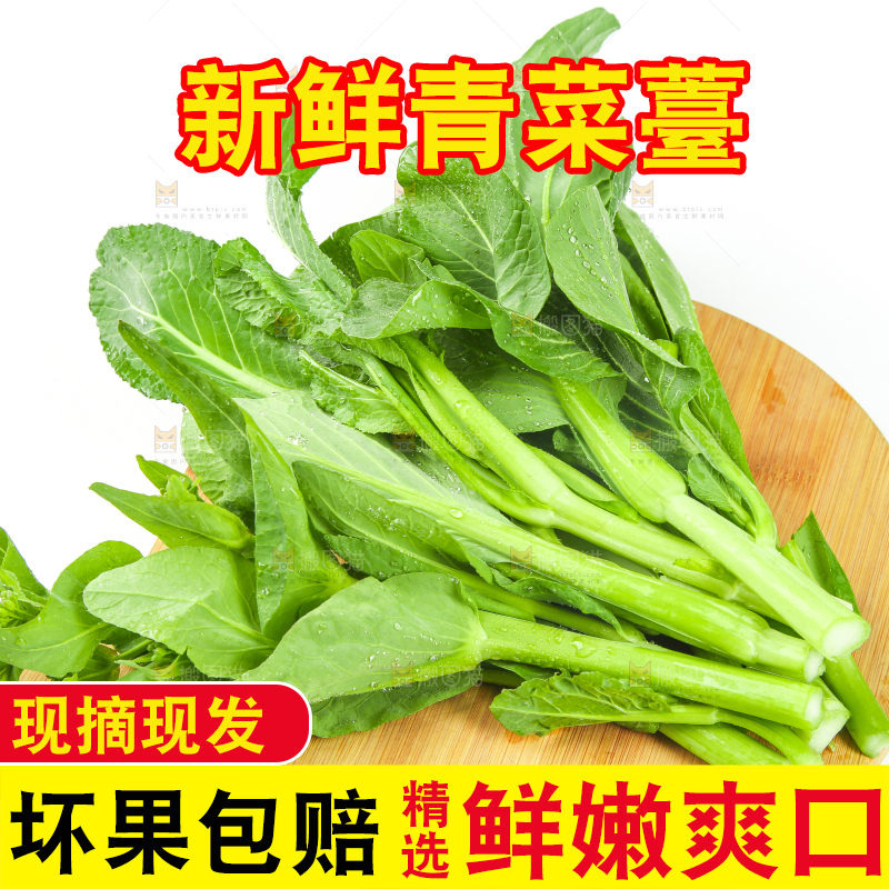 白底上放着青菜薹