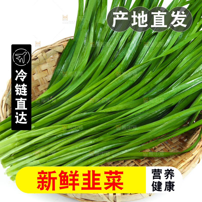 篮子里堆放着韭菜