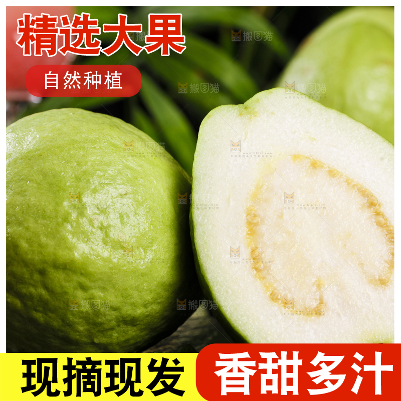 黑底上的番石榴