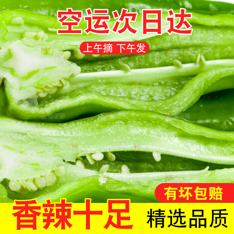 白底上放着青椒