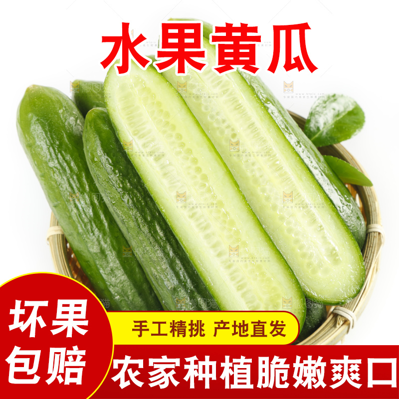 白底上放着一筐新鲜的东北小黄瓜