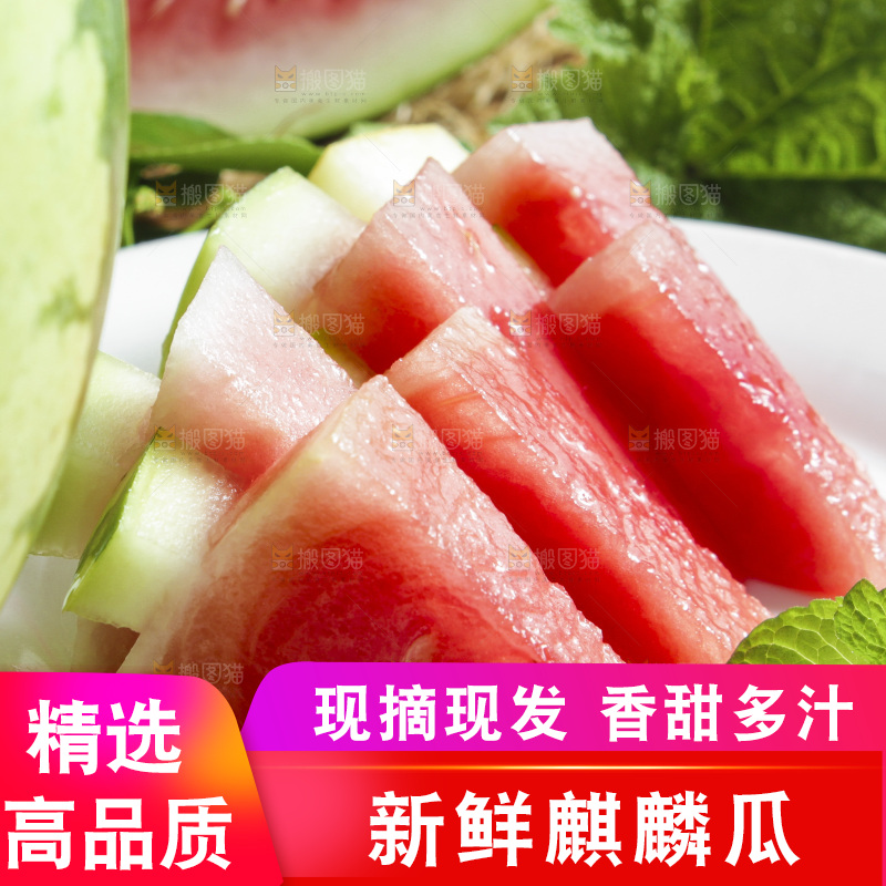 木底上放着新鲜麒麟西瓜