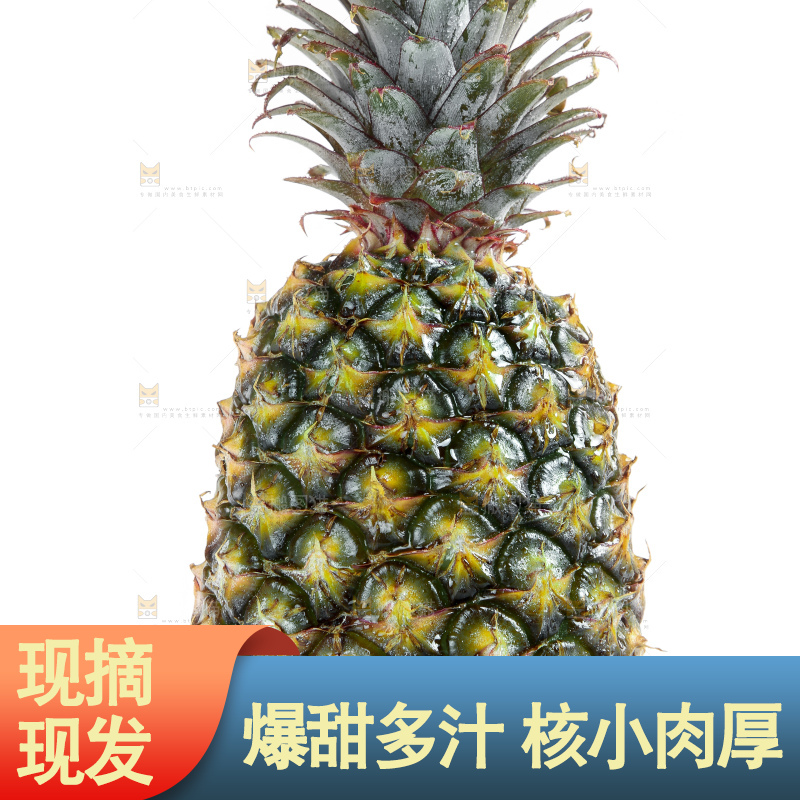 白底上的新鲜凤梨