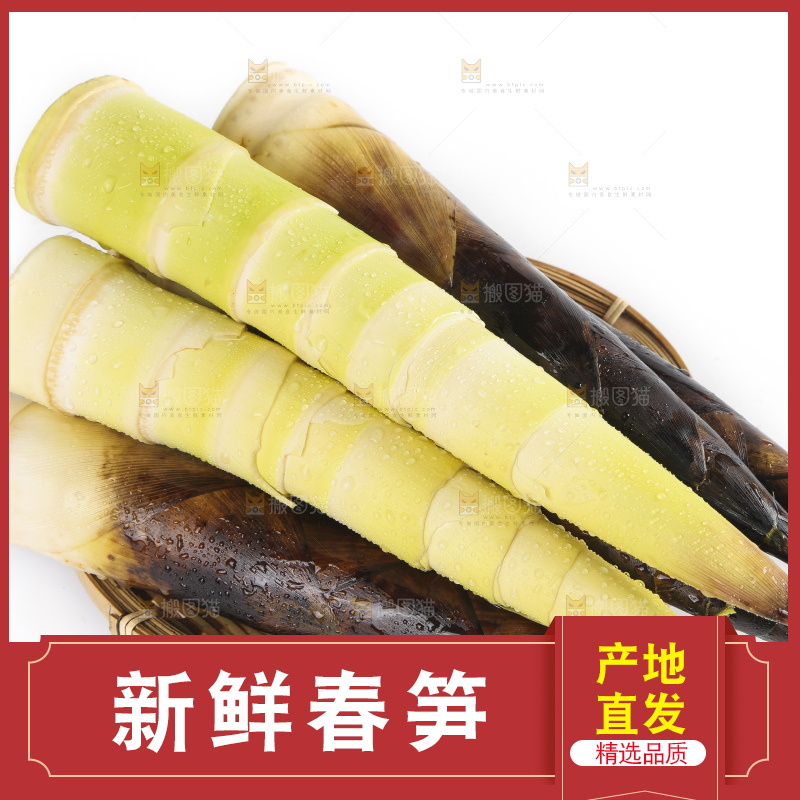 白底上放着新鲜的富阳春笋