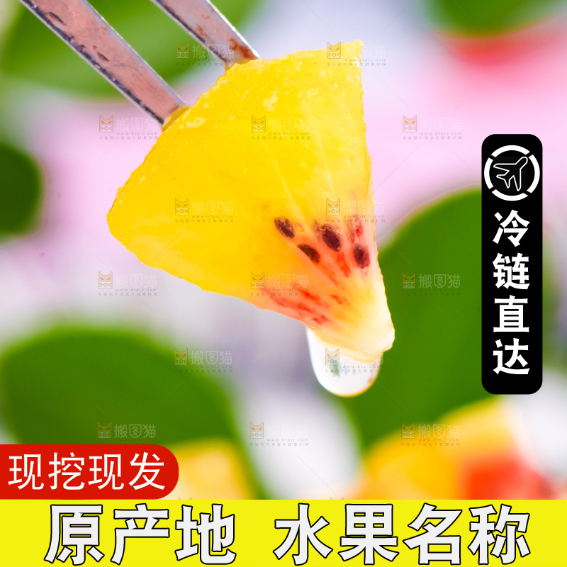 叉子插着四川红心猕猴桃的果肉
