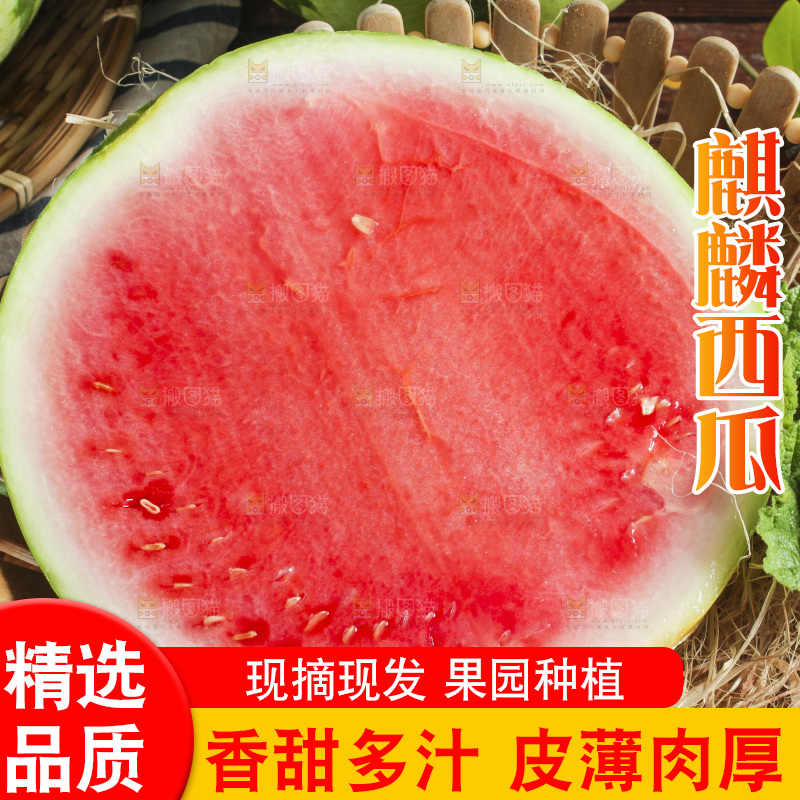 新鲜冰糖西瓜放在木底上