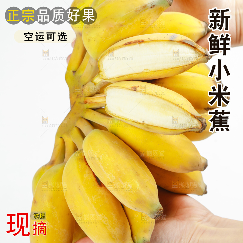 手里拿着一串广西苹果蕉
