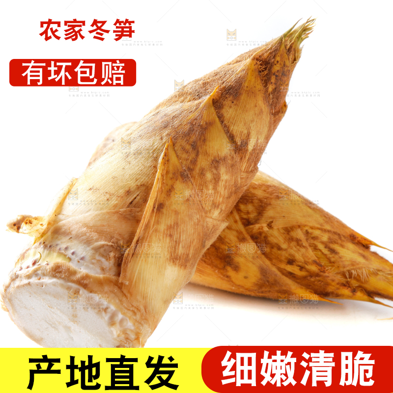 白底上摆放着冬笋