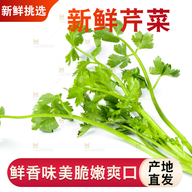 白底上的小芹菜