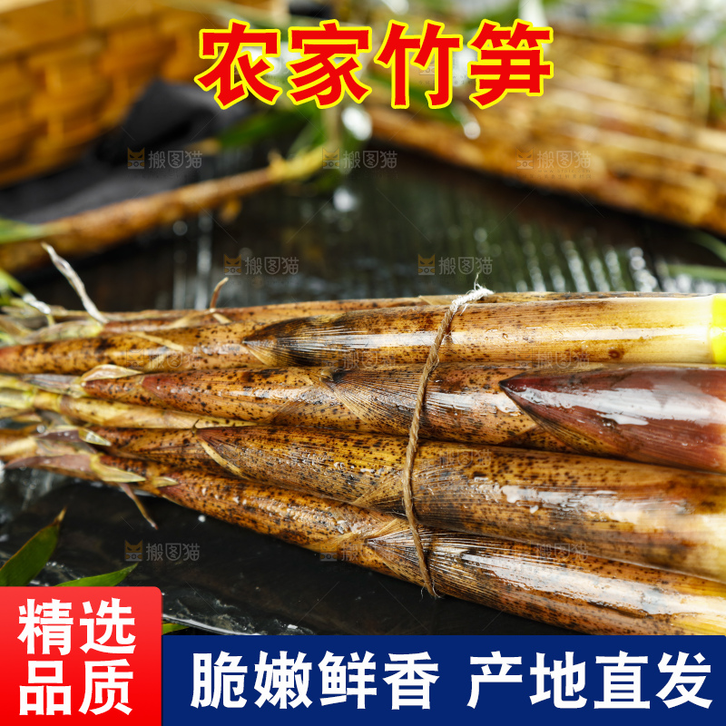 黑石板上绑着一捆竹笋