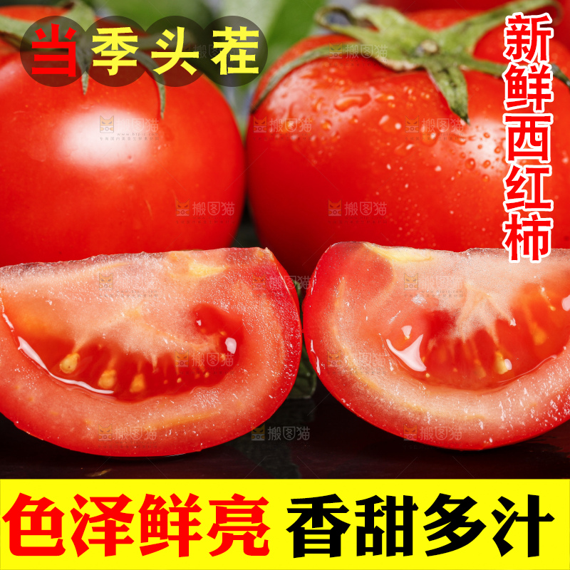 黑底上放着普罗旺斯西红柿