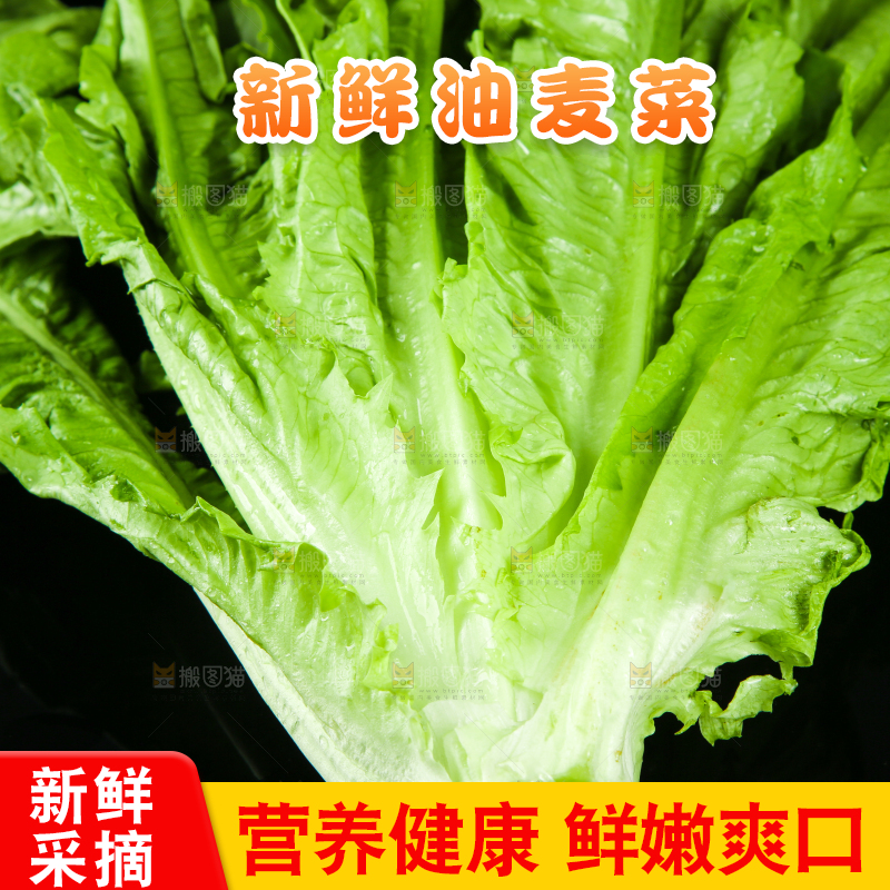 黑底上摆放着油麦菜