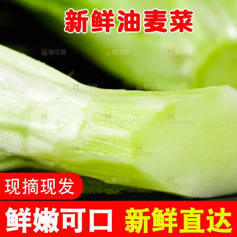 黑底上的油麦菜