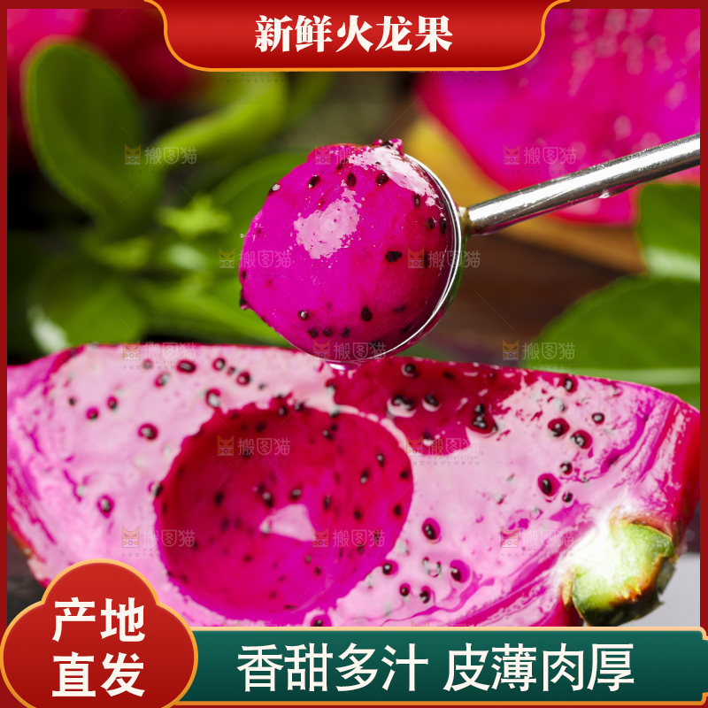 勺子里装着火龙果果肉