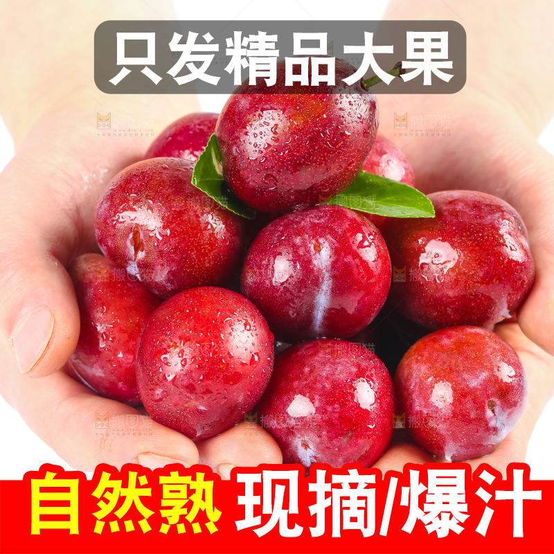 手拿着新鲜大西梅