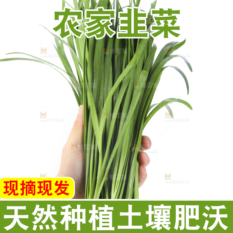 手里拿着一把韭菜