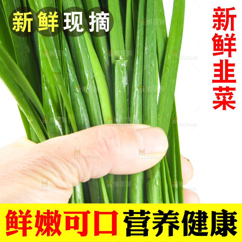白底上的一把韭菜