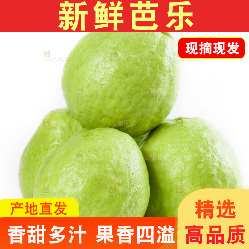 白底上放着白心芭乐