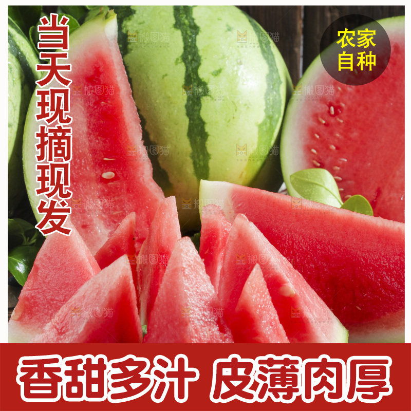 新鲜冰糖西瓜放在木底上