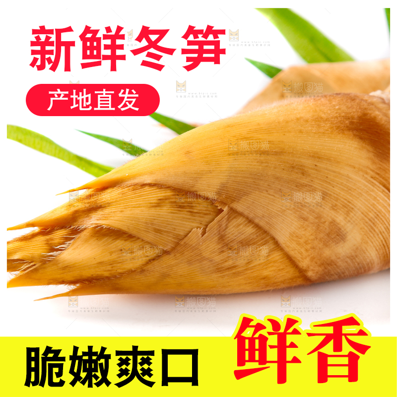 白底上摆放着冬笋