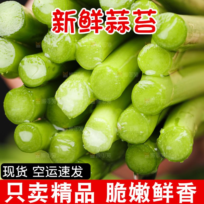 手里拿着一把嫩蒜苔