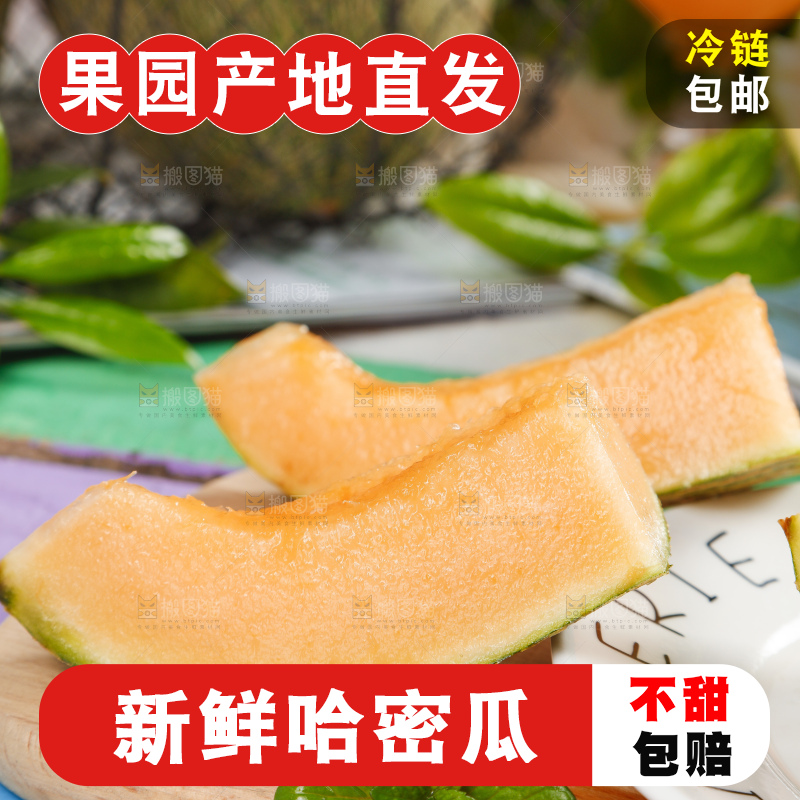 木板上放着切开的西州蜜25号哈密瓜