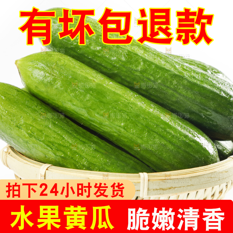 白底上放着一筐新鲜的东北小黄瓜