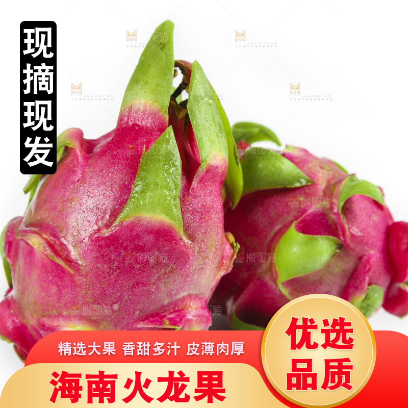 云南新鲜红心火龙果放在白底上