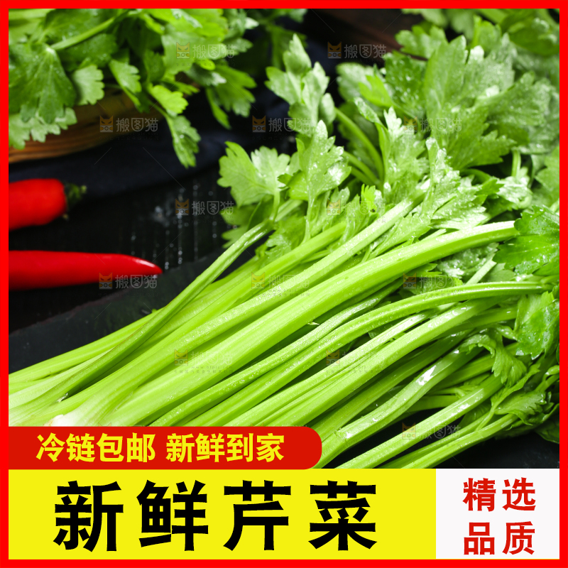 黑底上放着小芹菜