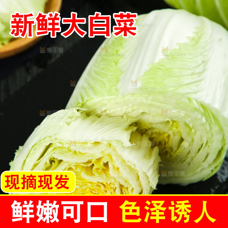 黑底上放着大白菜