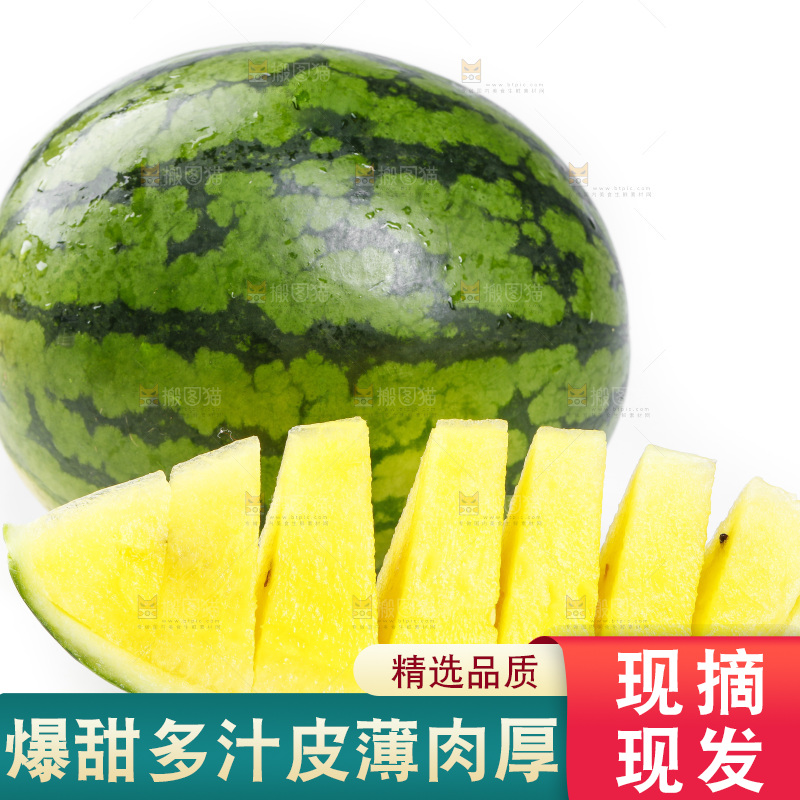 切开的特小凤黄肉西瓜放在白底上