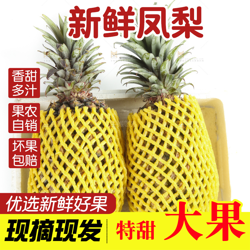 白底上的新鲜凤梨