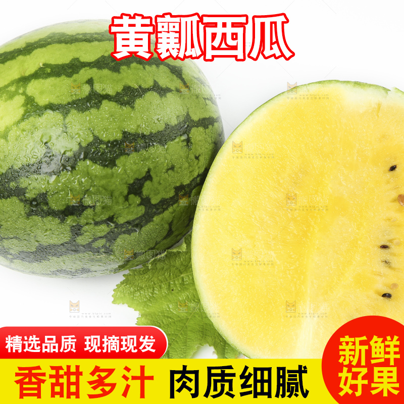 海南新鲜特小凤黄肉西瓜放在白底上