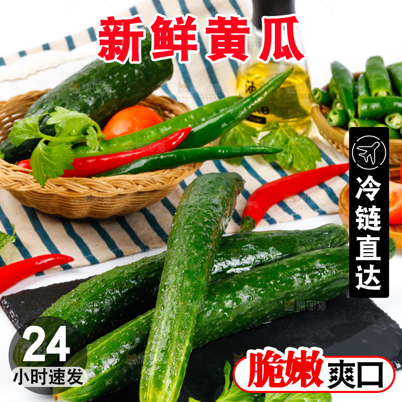 白底上放着黄瓜