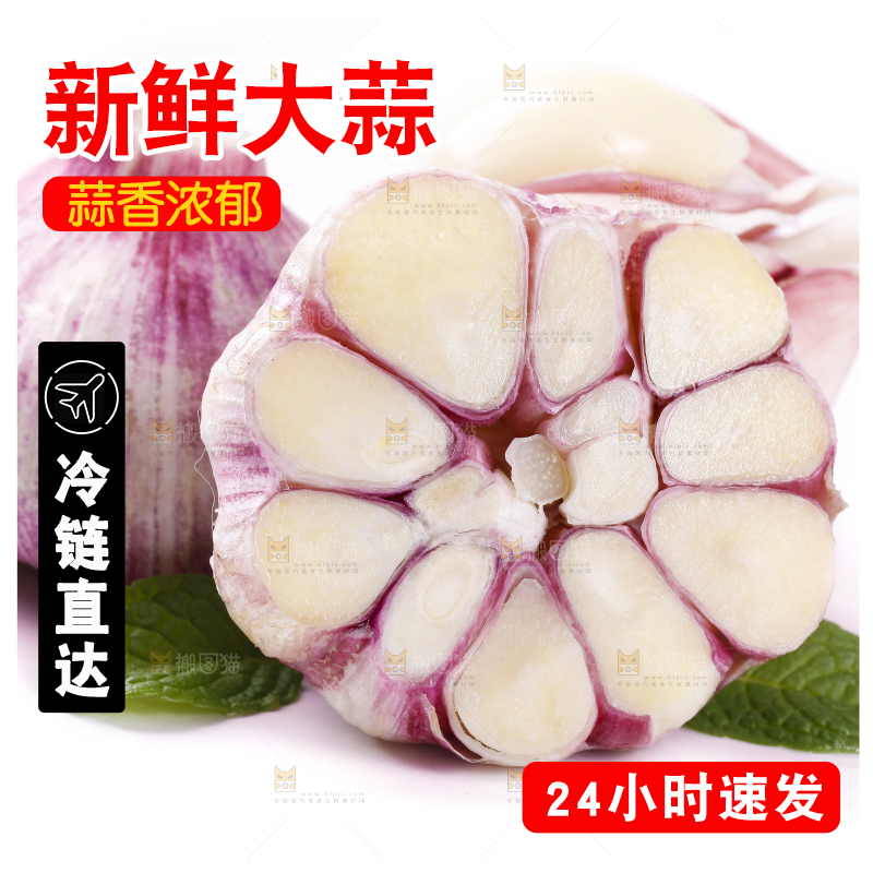 白底上放着新鲜紫皮大蒜头