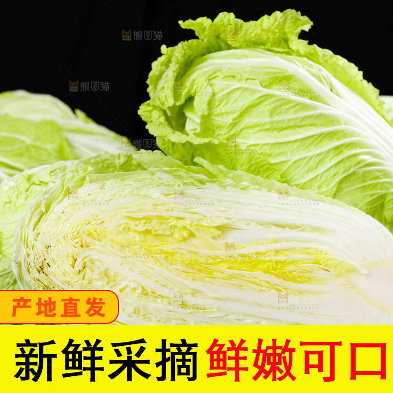 黑底上放着大白菜