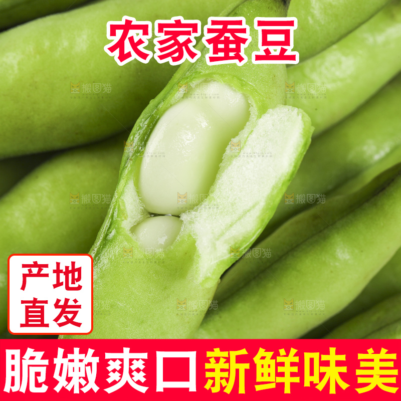 白底上放着新鲜蚕豆