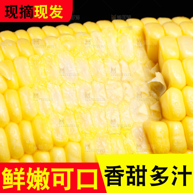 黑底上的玉米棒