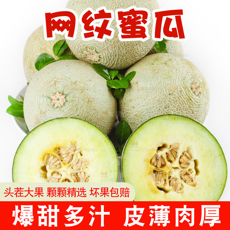 白底上放着新鲜网纹瓜
