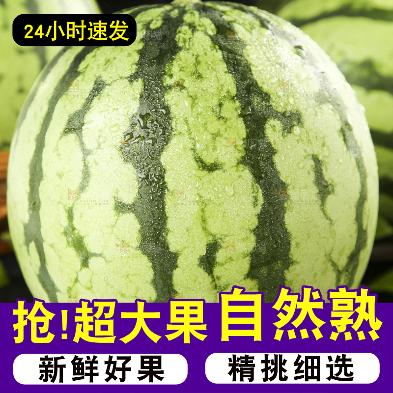 黑底上放着新鲜的红肉西瓜