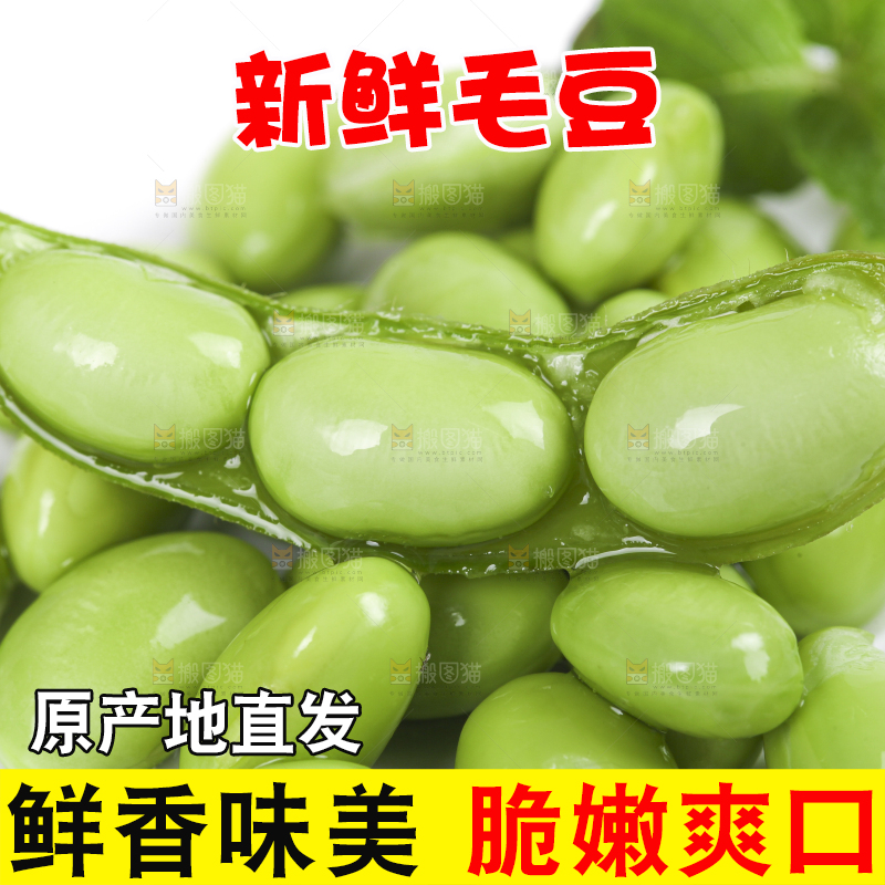 白底上放着四川新鲜毛豆