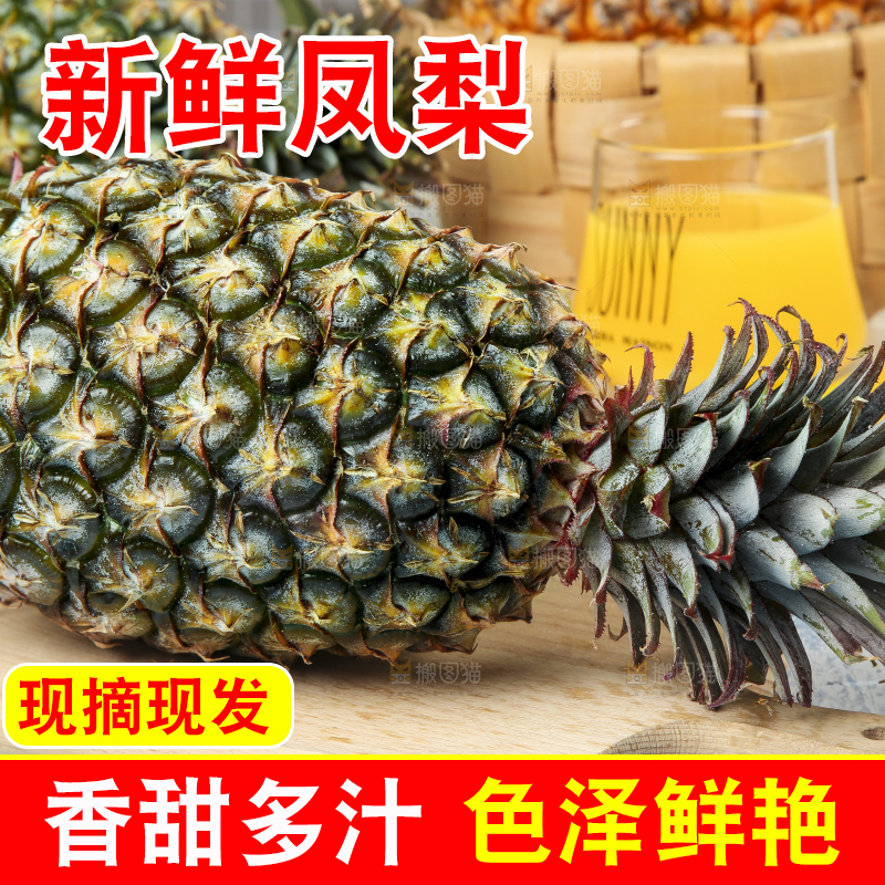蓝底上的金钻凤梨