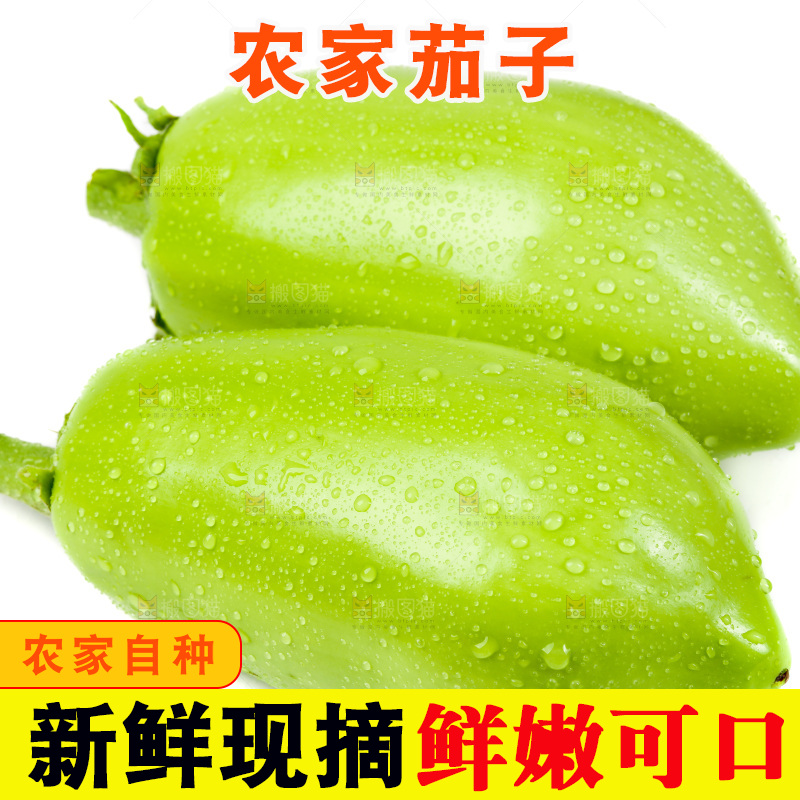 白底上放着青茄子
