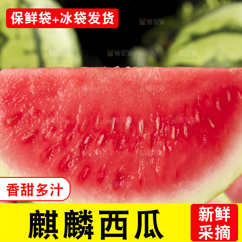 手拿切开的红肉西瓜