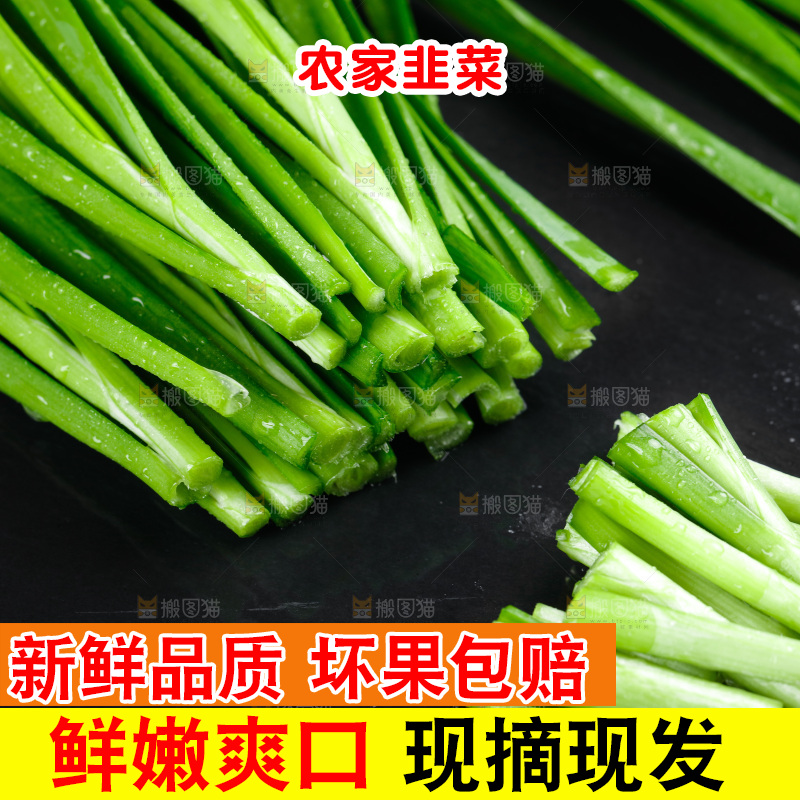 黑石板上的韭菜