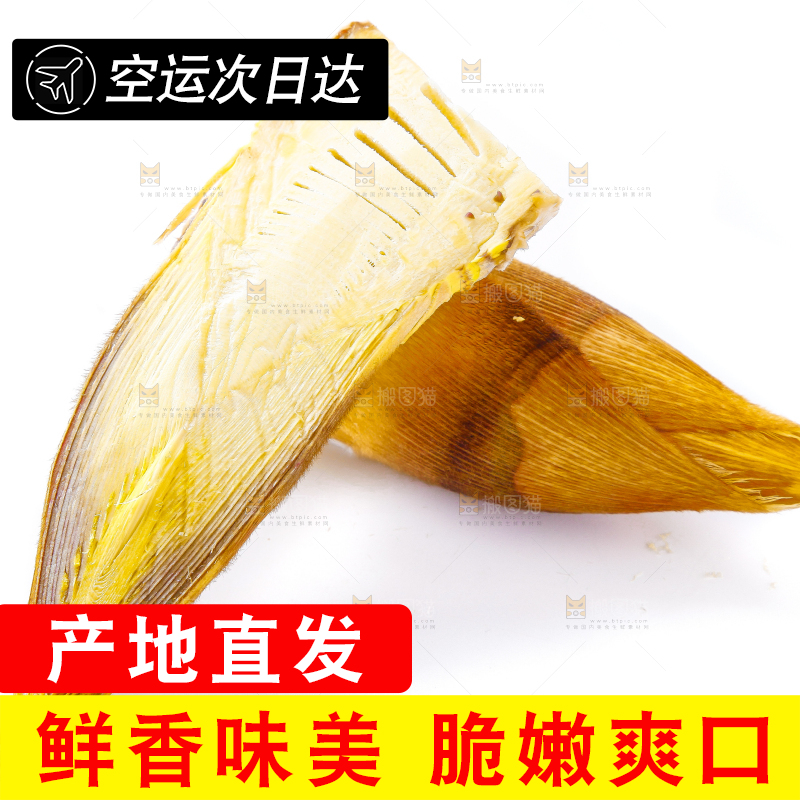 白底上摆放着冬笋